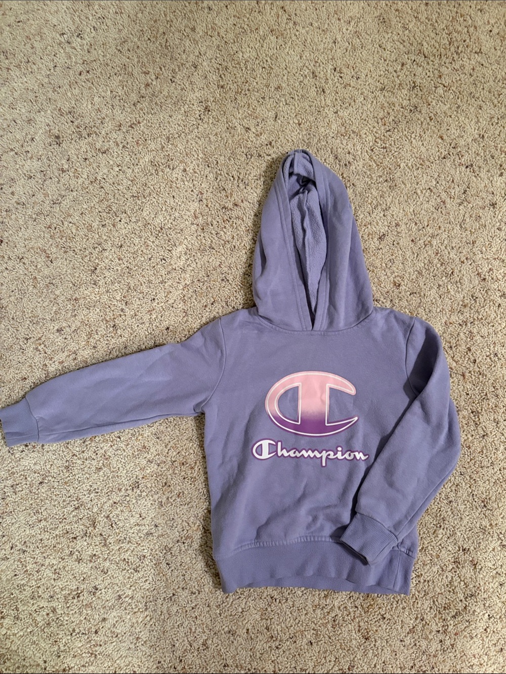 Champion Kids Lavender Hooded Sweatshirt with Pink Logo